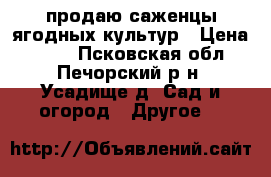 продаю саженцы ягодных культур › Цена ­ 450 - Псковская обл., Печорский р-н, Усадище д. Сад и огород » Другое   